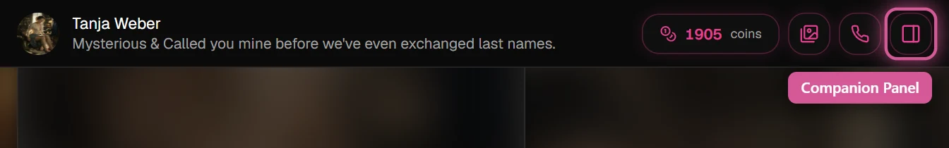 Chat header with the Companion Panel icon at the far right, next to the gallery and call icons