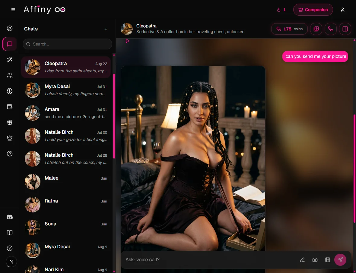 Chat view with the camera icon in the message box