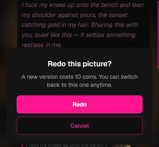 The Redo confirmation for a picture, showing the price before you confirm